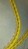 FUJI BELT 323G03603  62 Thread FOR  Film Processors 560 561 562 920 621 922