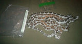 FUJI CHAIN SU1600M  / SU2500M TOP  PART 56B7808770 MINILAB